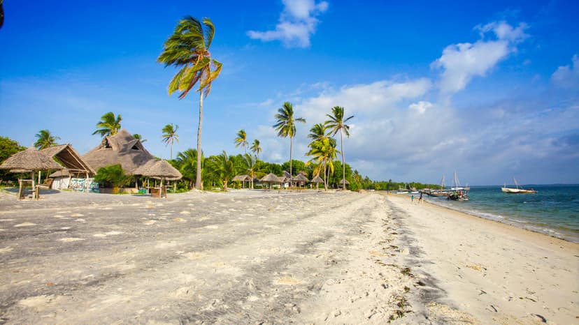 Traditional Dhow Sailing