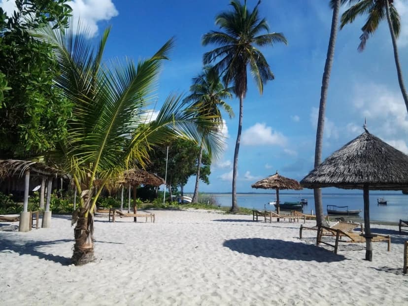 Mafia Island Marine Park Snorkelling