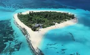 Pemba forest