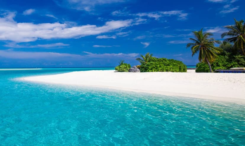 The Mora Zanzibar