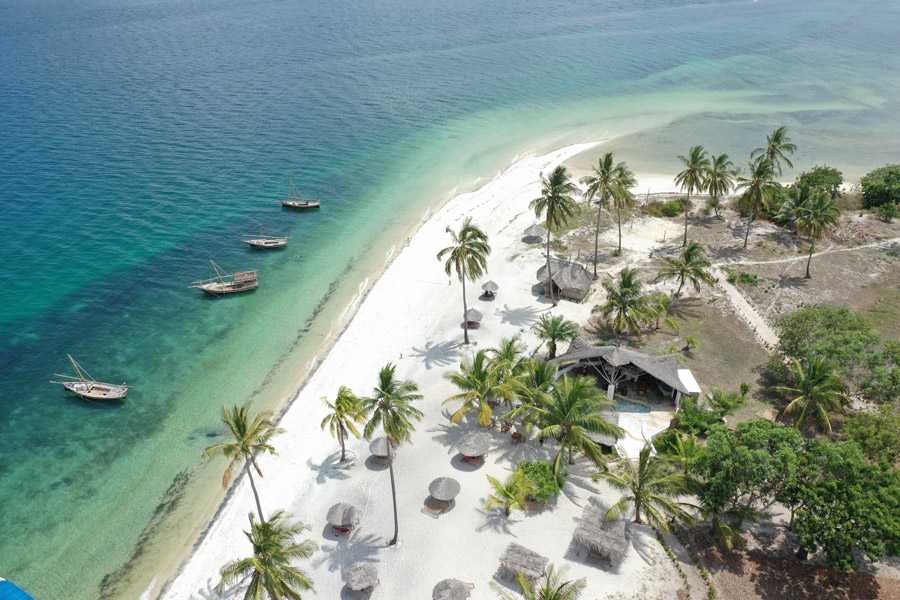 Pemba Island snorkeling