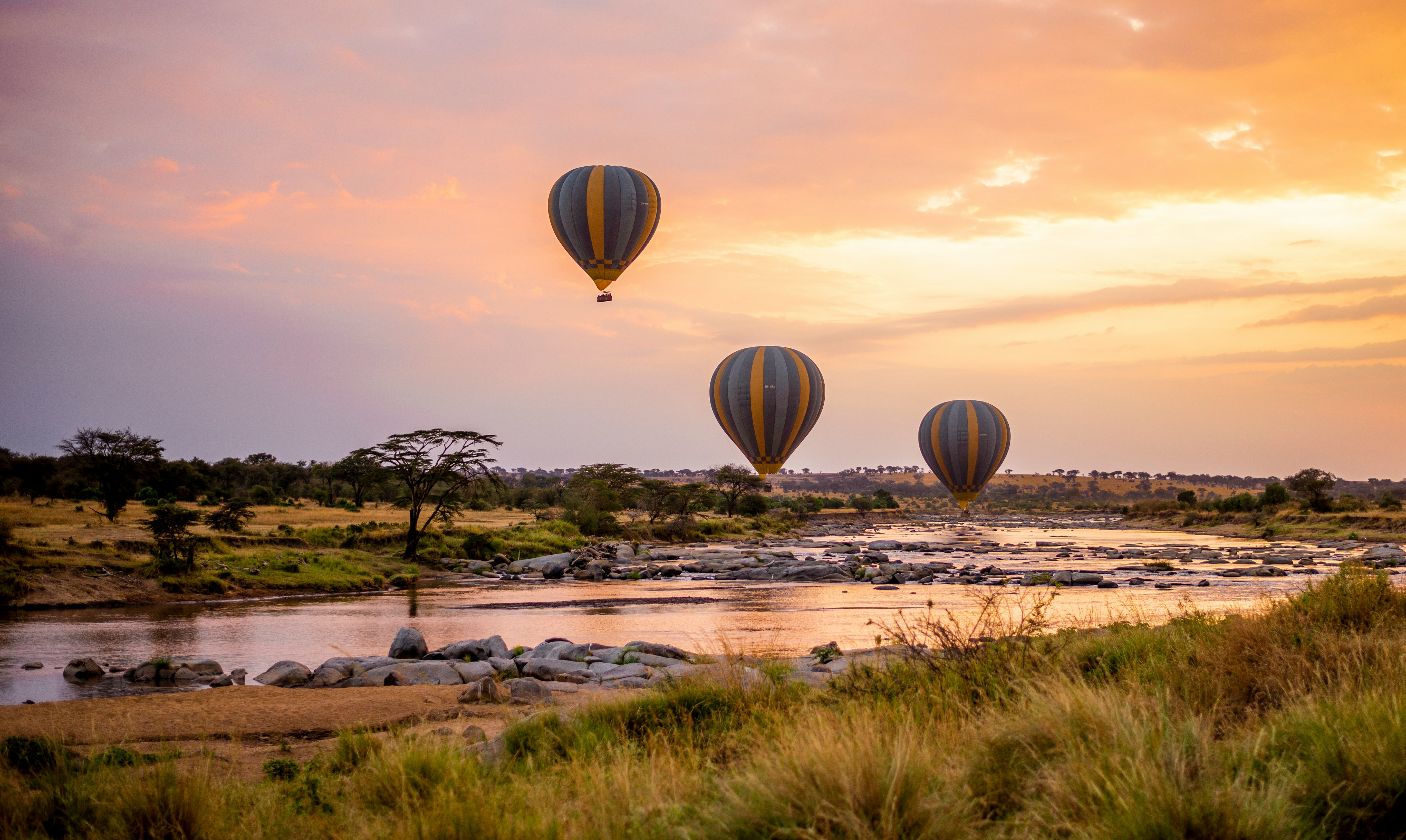Savannah express quest : 5 days Tarangire & serengeti safari